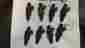 3105 06ka Siemens 83 Lb Injectors Ford Mustang Shelby Svo Chevy Dodge Glhs Nascar Yates Ho