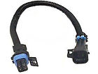 109006 Caspers Electronics Oxygen Sensor