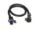 109007 Caspers Electronics Oxygen Sensor