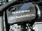 131.74.55.020 Racing Dynamics Carbon Fiber