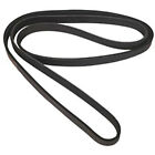17111.28 Rugged Ridge This Stock Replacement Serpentine Belt From Fits