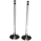 2114183 Clevite Exhaust Valve For 027067389190