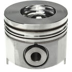 2243163 Clevite Piston Ford Ihc 027067811448