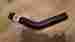 24710 Gates Fuel Filler Hose 1-1 2 45 Degree New 072053981308