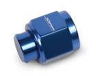 25408081 Holley Pipe Fitting An Flare Cap 847875001769
