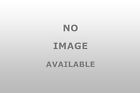 401359 Roush Stripe Kit