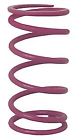 545-9519 Jr Race Car Shockwave Clutch Spring Purple 099998353571