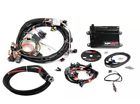 550-602n Holley Hp Efi Ecu And Harness