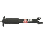 555609 Kyb Shock-strut 781552601296
