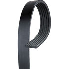 6k960 Acdelco V-ribbed Serpentine Belt 021625249001