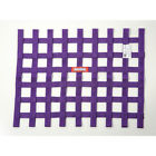 725055 Racequip Window Safety Net Sfi Certified Ribbon Style 887753071545