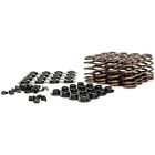 74818k5 Lunati Valve Spring Kit 090127651230