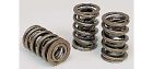 96877-16 Crane Cams Dual Valve Springs Damper 012988022158