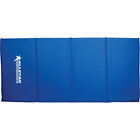All10128 Allstar Performance Track Mat Blue 848238000665