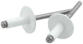 All18156 Allstar Performance 3/16ftft Large Head Rivets