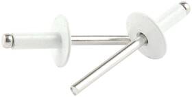 All18158 Allstar Performance Lg Hd Rivet White Alum 250pk
