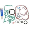 Cs54483 Clevite Mahle Conversion Set For