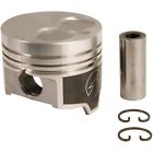 H651cp Sealed Power Cast Piston 614046229013