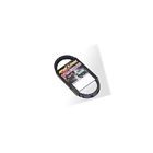 Jk6-907 Motorcraft Belt