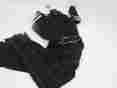 Ly22271 Simpson Legend Ii Suit Black Medium