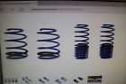 M-5300-k Ford Racing Lowering Springs 2005-2014 Gt Coupes