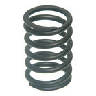 Vs446 Sealed Power Valve Spring 724956646227