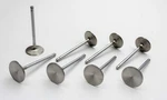Manley Performance Products Sbc S/d 2.100IN Intake Valves 11862-8. Fixed Price $336.20.