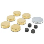 Proform Engine Expansion Plug Kit 66558. Fixed Price $37.85.