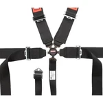 Racequip 741001RQP Camlock 5 Point Racing Harness, 3 Inch, Black. Fixed Price $204.95.