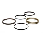 Total Seal ML0010 65 Piston Ring Set 4.060 Gapls Top 043 3.0MM. Fixed Price $455.47.