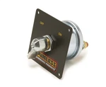 Painless Wiring 50710 Master Disconnect Switch W/mounting Panel. Fixed Price $69.09.