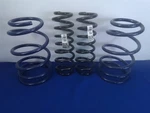 Ford Motor Racing 2007 Svt Mustang Spring Set (4) M-5300-L. Fixed Price $350.00.