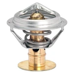Gates 33248 Oe Equivalent Engine Coolant Thermostat. Fixed Price $19.99.