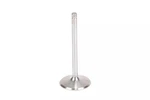 Genuine Gm 454/502 Big-block Intake Valve 12556317. Fixed Price $56.83.
