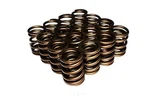 Engine Valve Spring Comp Cams 913-SET Fits 1994 Acura Integra 1.8L-L4. Fixed Price $369.48.