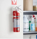 Buckeye Fire Extinguisher With Wall Mount 2.5 Lb. Fixed Price $41.99.