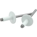 Allstar Performance Lg Hd Rivet 250PK White - ALL18156. Fixed Price $18.26.
