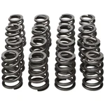 Manley Valve Spring Kits 26185. Fixed Price $474.55.