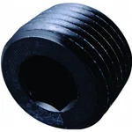 Fragola Pipe Plug 1/2 Npt Internal Black. Fixed Price $23.95.
