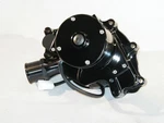 Meziere 300 Series Electric Water Pumps WP311S. Fixed Price $696.09.