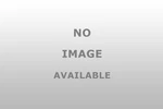 Manley 42375 1 Spring Cup Id 625. Fixed Price $20.47.