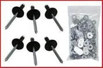 Combo 250CT Rivets And Back-up Washers Imca Pop. Fixed Price $27.95.