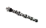 Comp Hyd. Roller Camshaft 270HR Ford Sbf 302. Fixed Price $549.95.