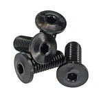 Ultra-low Profile Head Titanium Bottle Cage Bolts 4PK Black / Unused Boss Plug. Fixed Price $12.99.