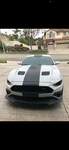 Roush Mustang Over-the-top Center Stripe Decal Kit (hood/roof/trunk) 2015-2019. Fixed Price $249.00.