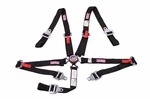 Rjs Sfi 16.1 Pt Harness Cam Lock Floor Mount 2" Bolt In Belt Black 1024501. Fixed Price $131.99.