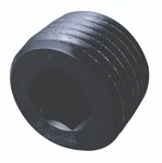 Fragola 1" 1IN Npt Pipe Plug Internal Allen Black 493207-BL. Fixed Price $20.00.