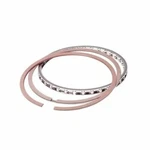 Total Seal M9090 Piston Rings Ductile Iron 4.040" Bore 5/64" 3/16" Thickness. Fixed Price $533.45.