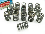 (16) Sealed Power VS446 Outer Engine Valve Springs Pontiac 195 287 326 347 389. Fixed Price $107.96.