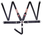 Racequip 745005RQP Point Harness Camlock Sfi 16.1 Pull Down Adjust. Fixed Price $229.95.